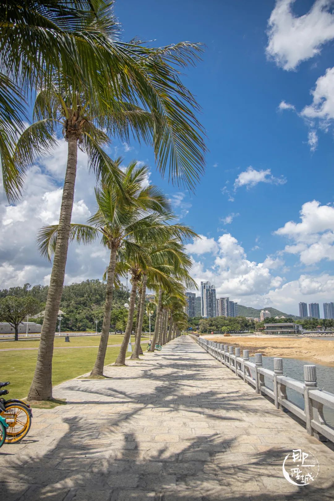 我去了最适合谈恋爱的珠海，回来却还是个单身狗