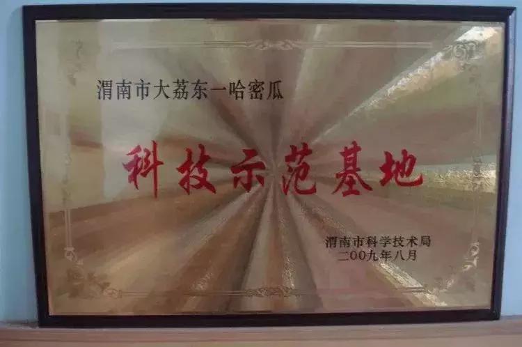 大荔县双泉镇东野鹊村来历,大荔县双泉镇东野鹊村