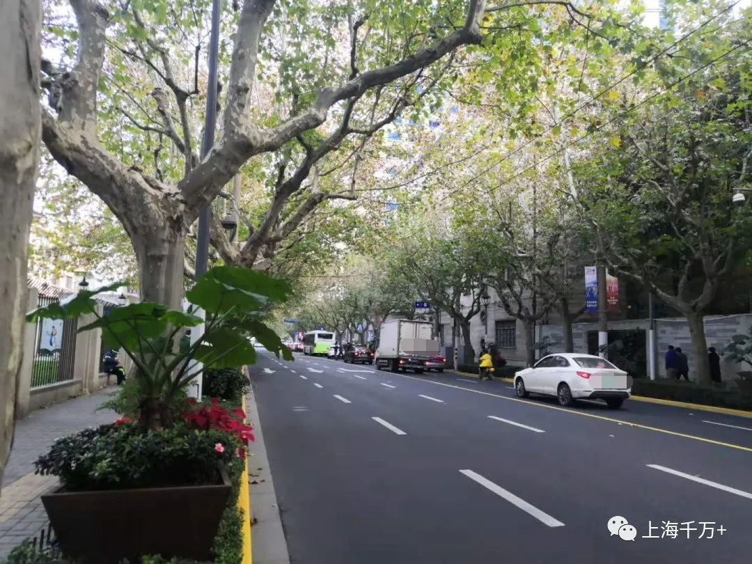 住在上海市的真实感受,住在上海的基本常识