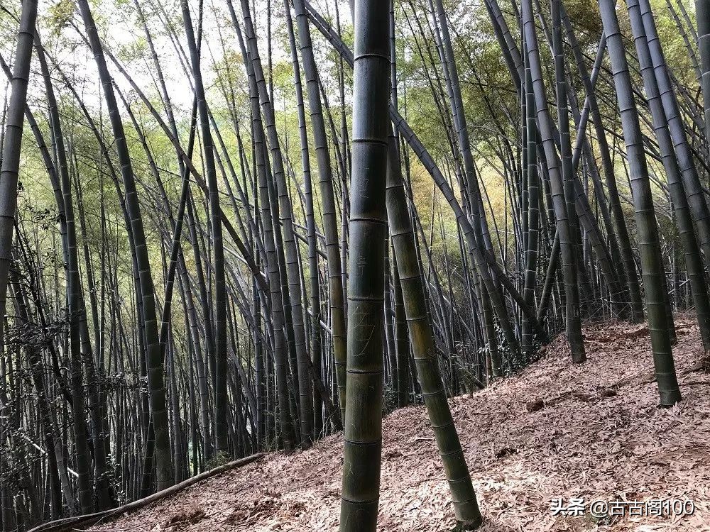 越王峥大峡谷：风景壮美，迷倒众生