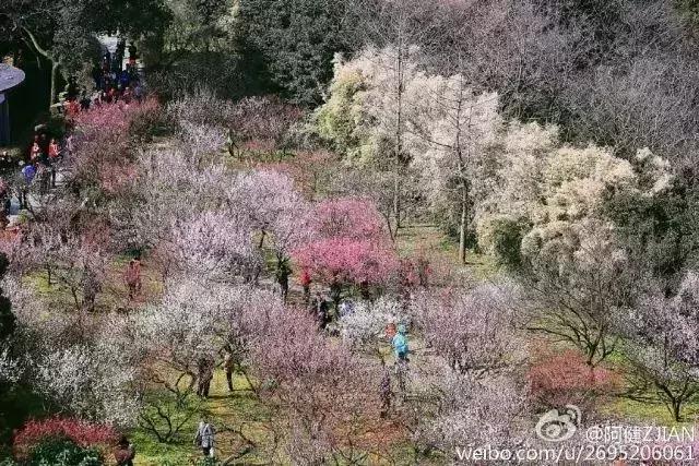 园林卡休闲卡,园林卡苏州市民卡