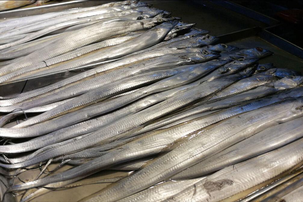 带鱼哪个地方最好吃,带鱼是哪个地方的带鱼最好吃