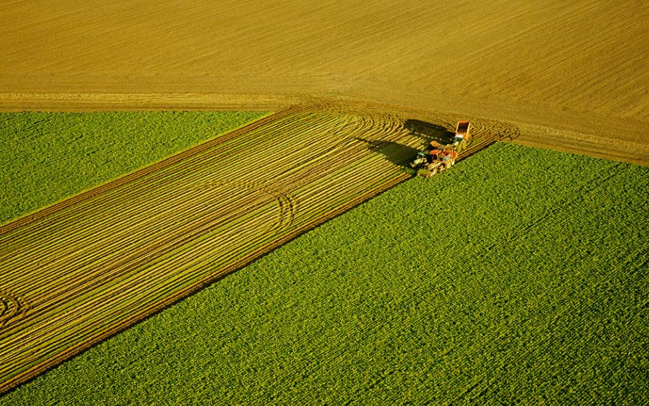 再过20~30年农民都进城了，农村土地怎么办？还有没有人种地？
