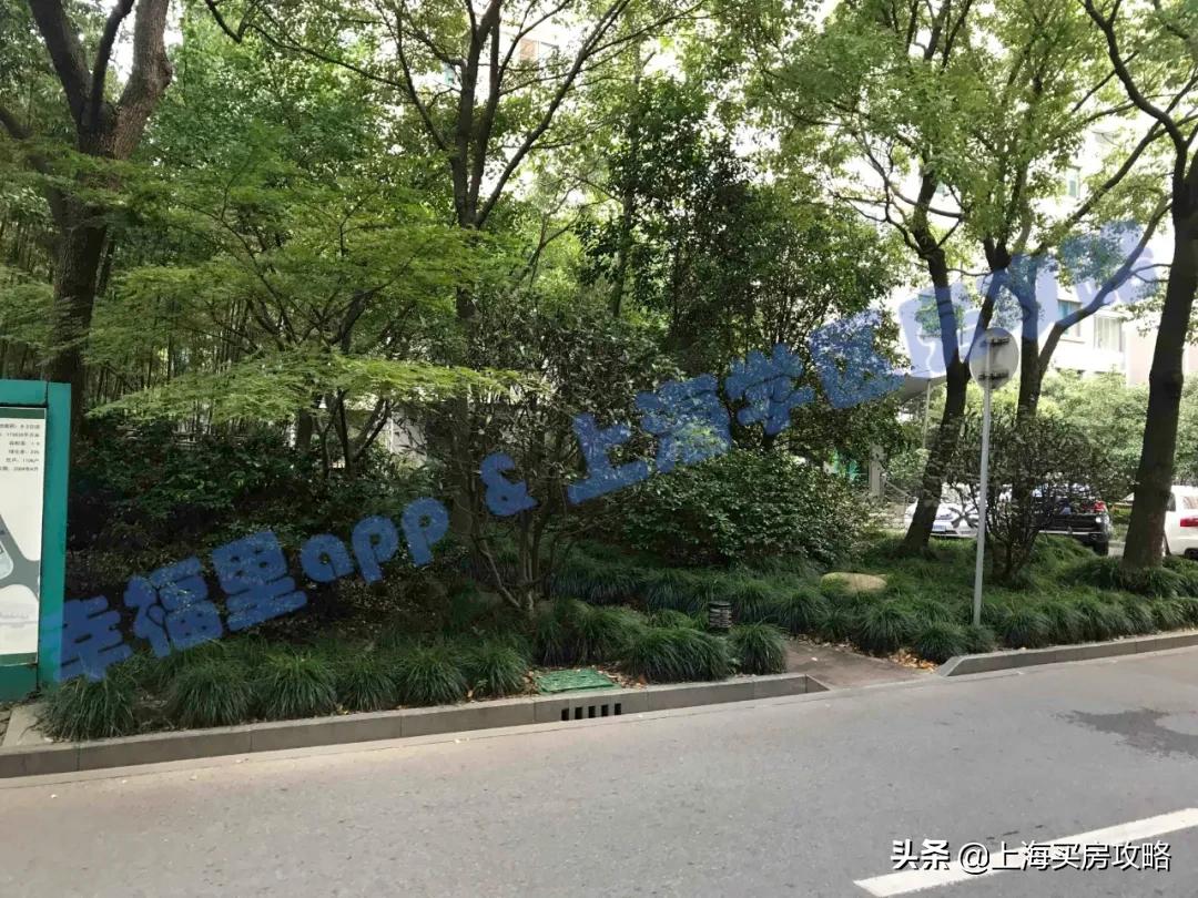 上海福山花园外国语小学收费多少,福山花园外国语小学上海排名