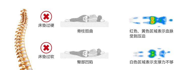 乳胶床垫哪一种好,怎么样的乳胶床垫才是好的