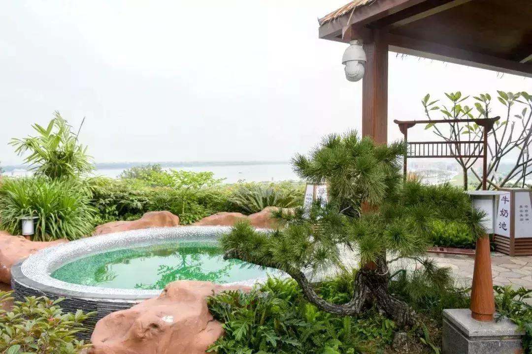 打卡佛山极度奢华的温德姆至尊酒店,2大1小仅899,吃,玩,住样样齐