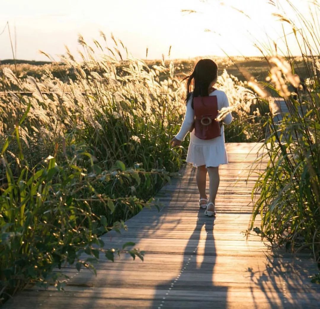 日本买三宅一生包能带回国吗,在日本买三宅一生的包多少钱