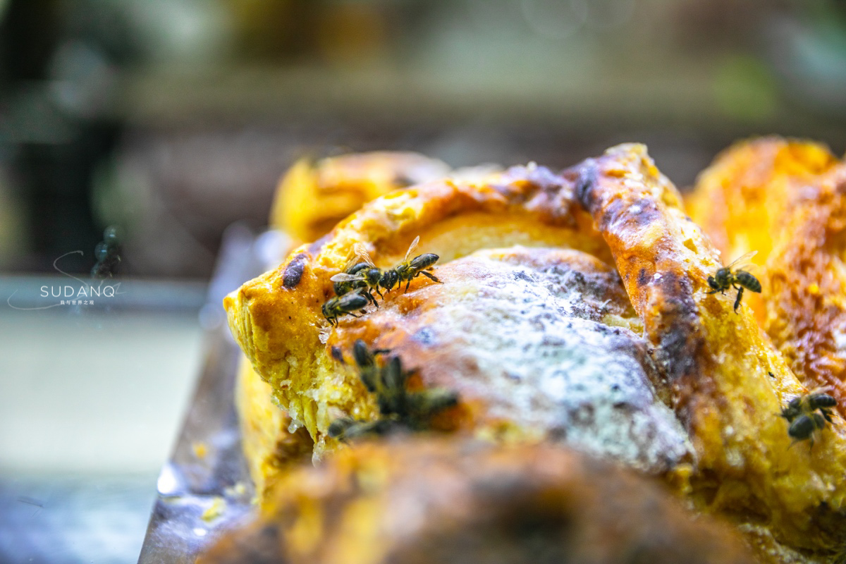 摩洛哥吃什么水果,摩洛哥每天的消费