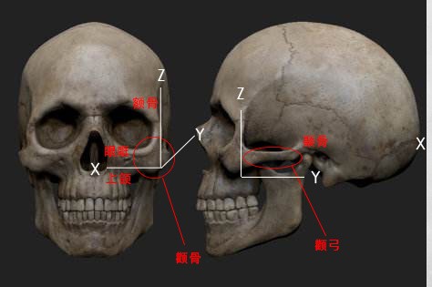 颧骨高适合什么修饰,颧骨塑造