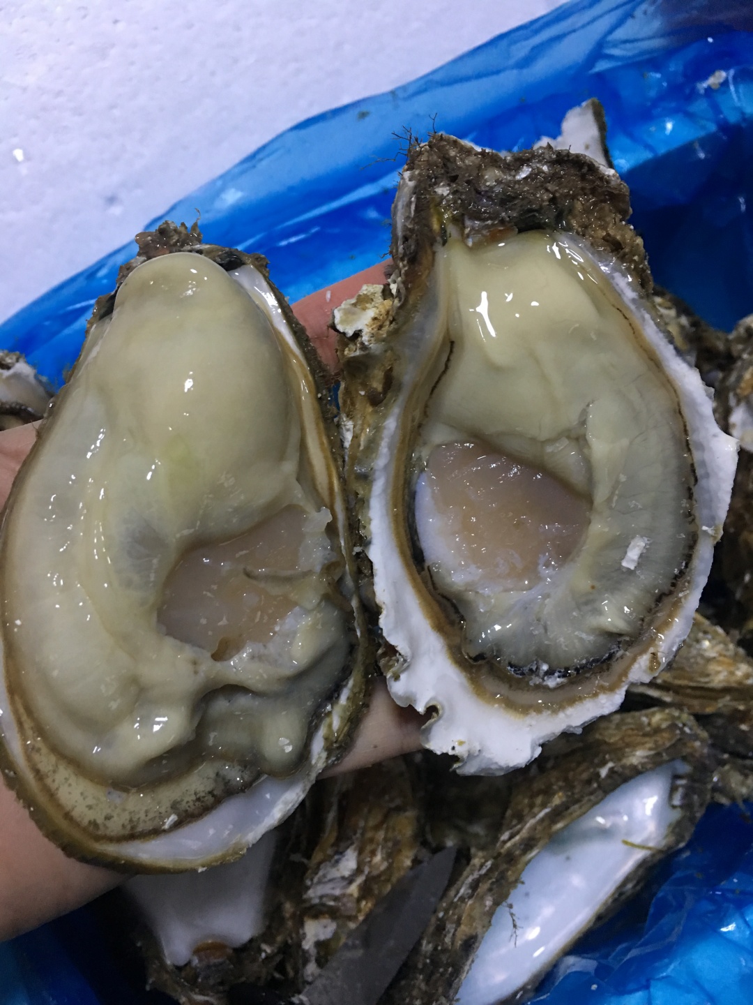 一入豪门深似海下一句是什么,一入蚝门深似海从此虾蟹是路人