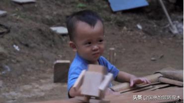 一生一木,一生一木家居