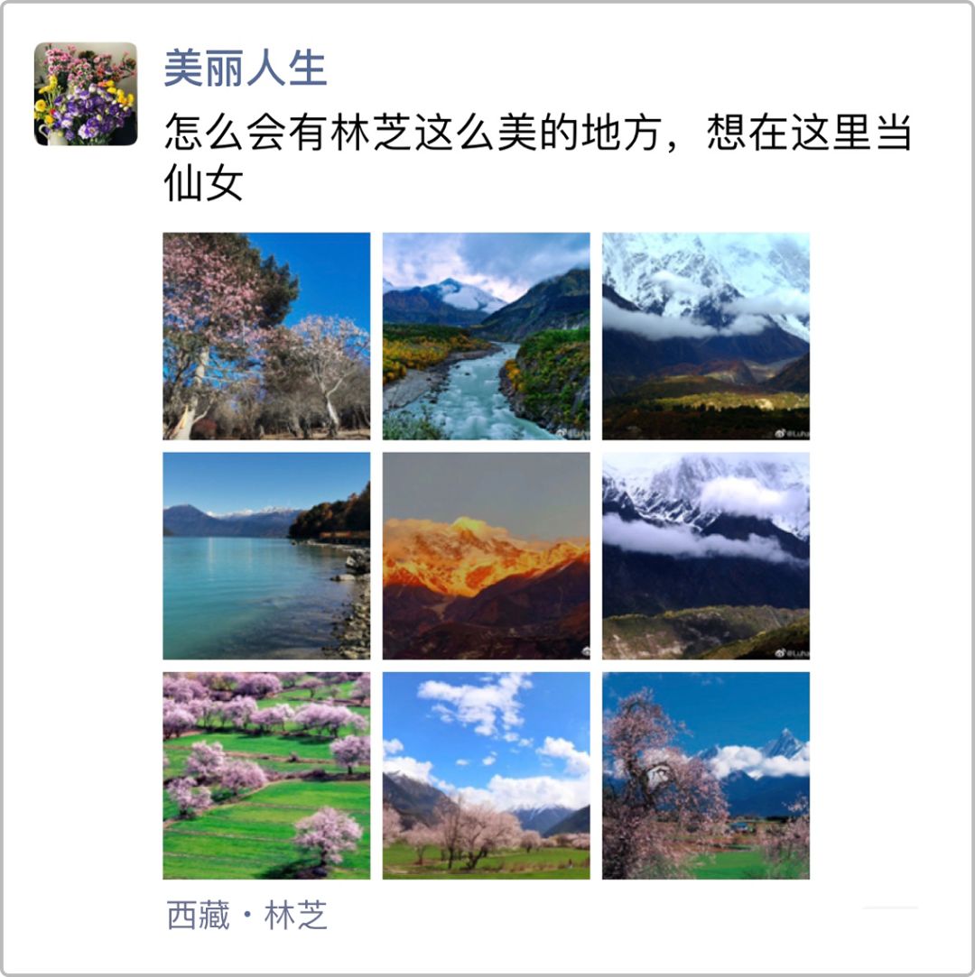 旅行鄙视链,旅游同伴鄙视链