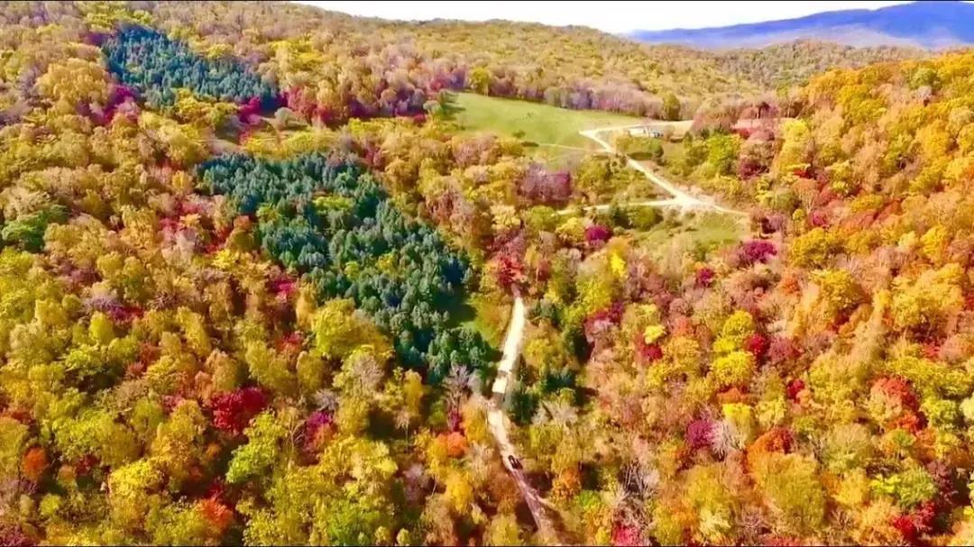 假期逛景区一大波优惠等着您,景点优惠活动视频