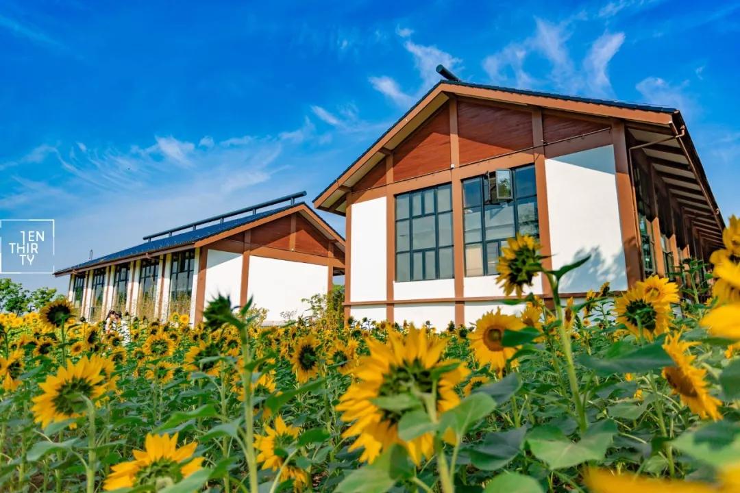 这些武汉特产你都见过吗,武汉有哪些新的东西