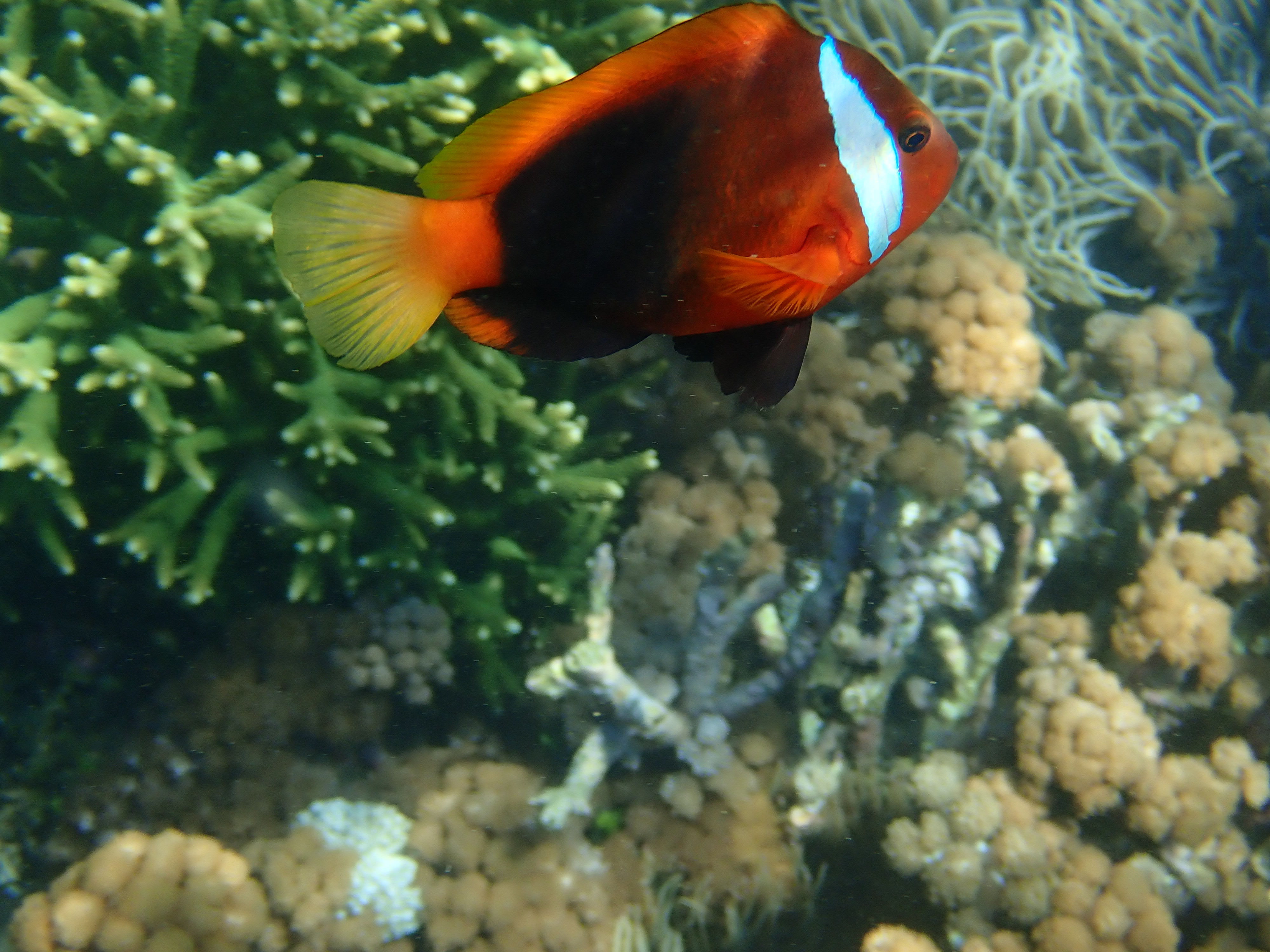 冬季海岛旅行推荐,海岛旅游攻略冬季