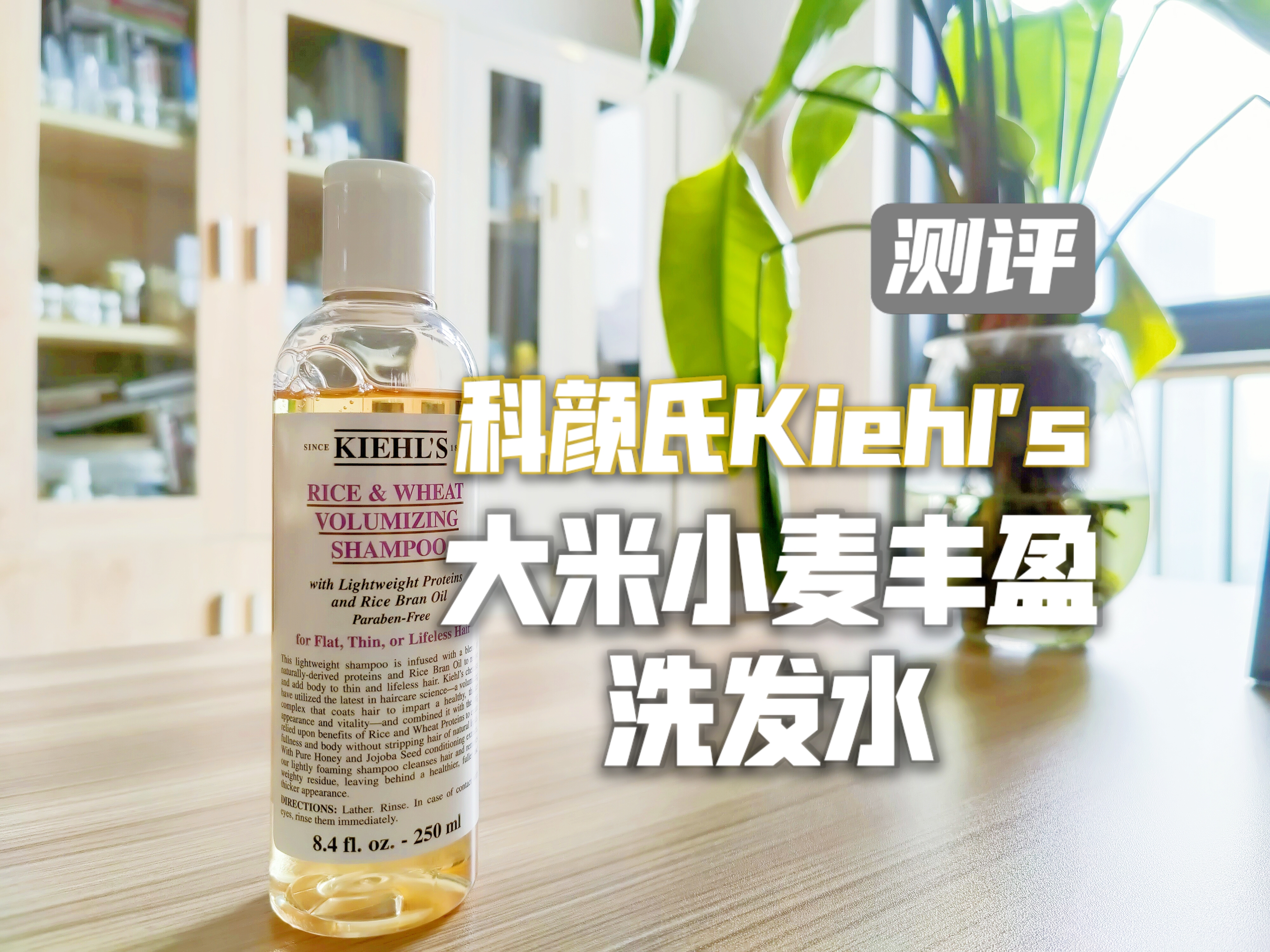 科颜氏大米小麦洗发水500ml,洗发水测评欧莱雅茶树