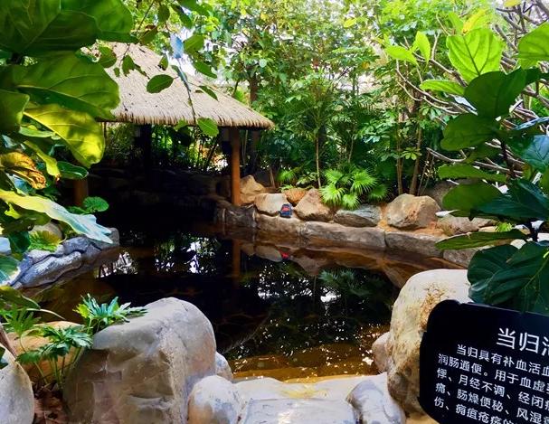 檀悦豪生温泉度假酒店高级海景房,檀悦豪生温泉度假酒店泰式套餐