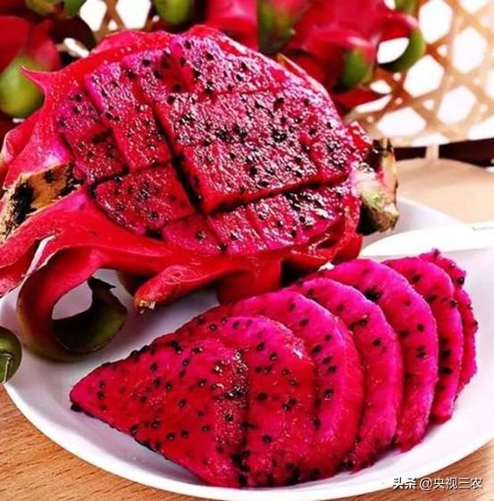 火龙果红心和白心的介绍,火龙果如何区别红心还是白心