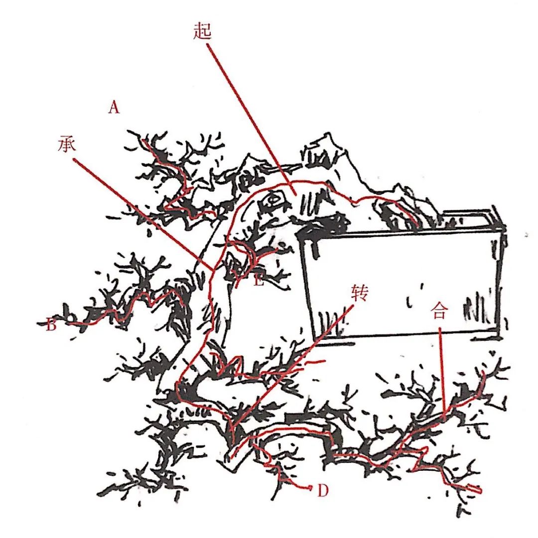 小榆树盆景设计100种形态,榆树盆景用的榆树是什么品种