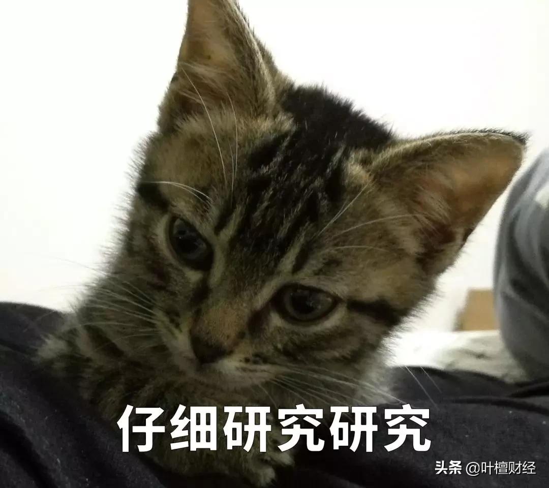 叶檀在全国的地位,叶檀前世今生