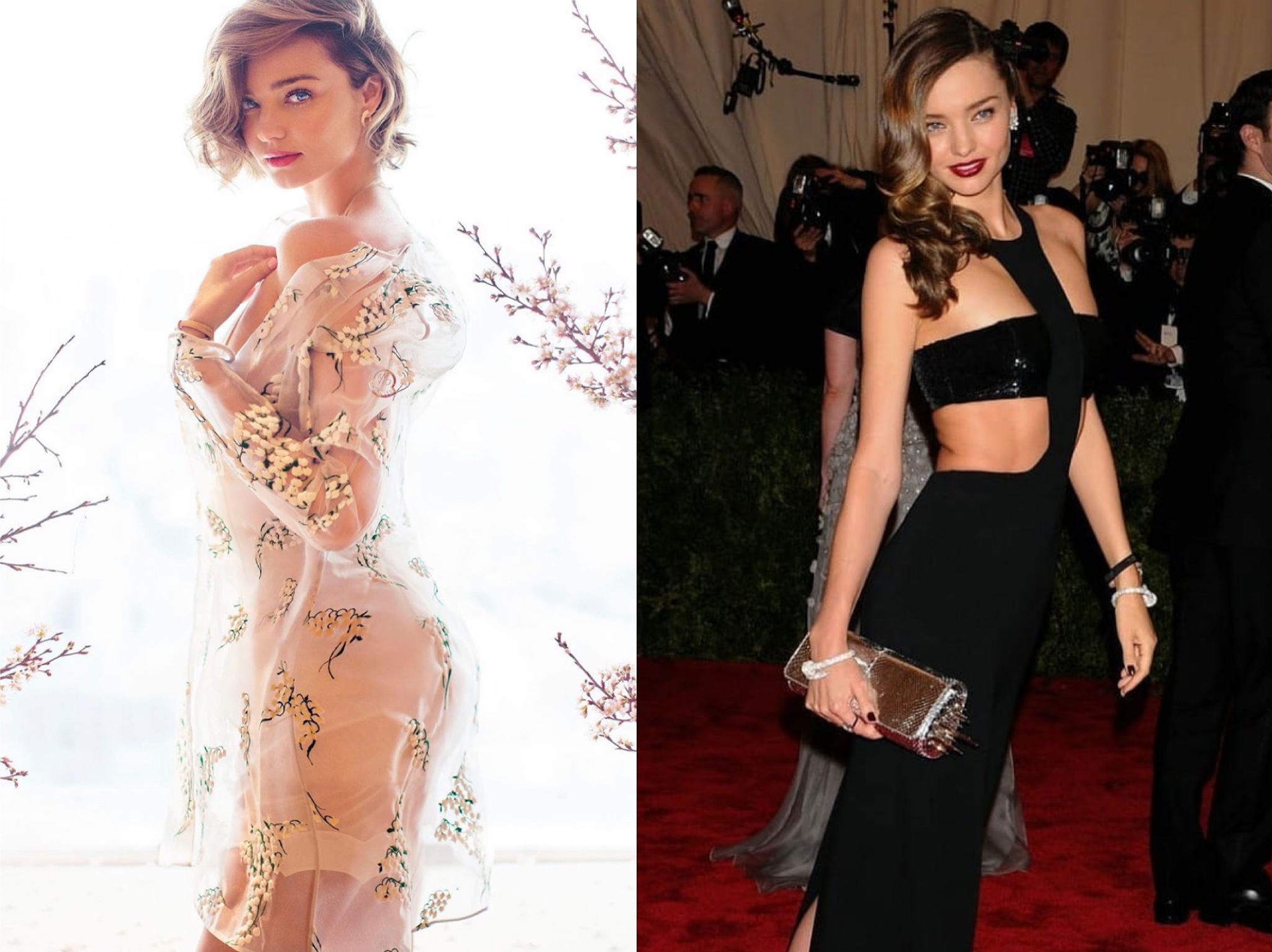 超模米兰达可儿路易威登,超模米兰达可儿