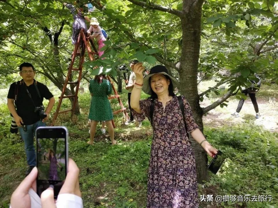 汶川三宝特色水果产业,汶川三宝果园