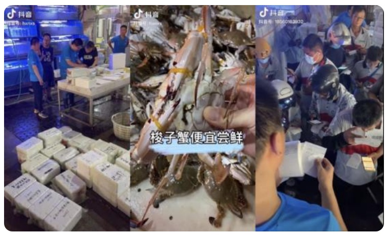 顺丰同城急送杭州官方,顺丰同城急送价格山东