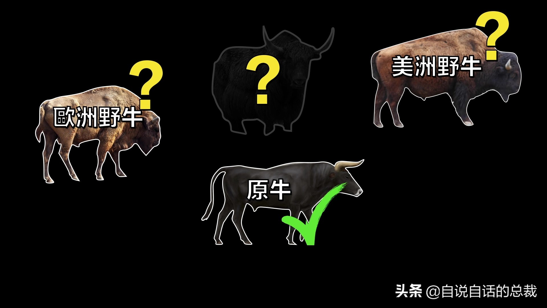 阿努纳奇创造人类7次文明,阿努纳奇人类起源