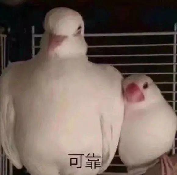 这么久自己的简历还不知道怎么写,看完你就知道简历怎么写了