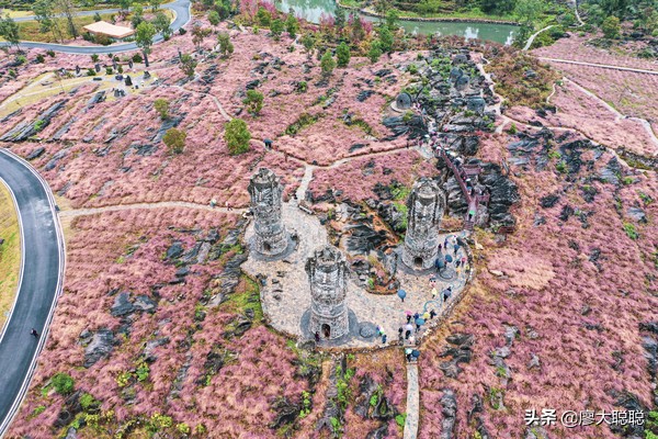 重庆这片花海你还没有来打开，那你就输了
