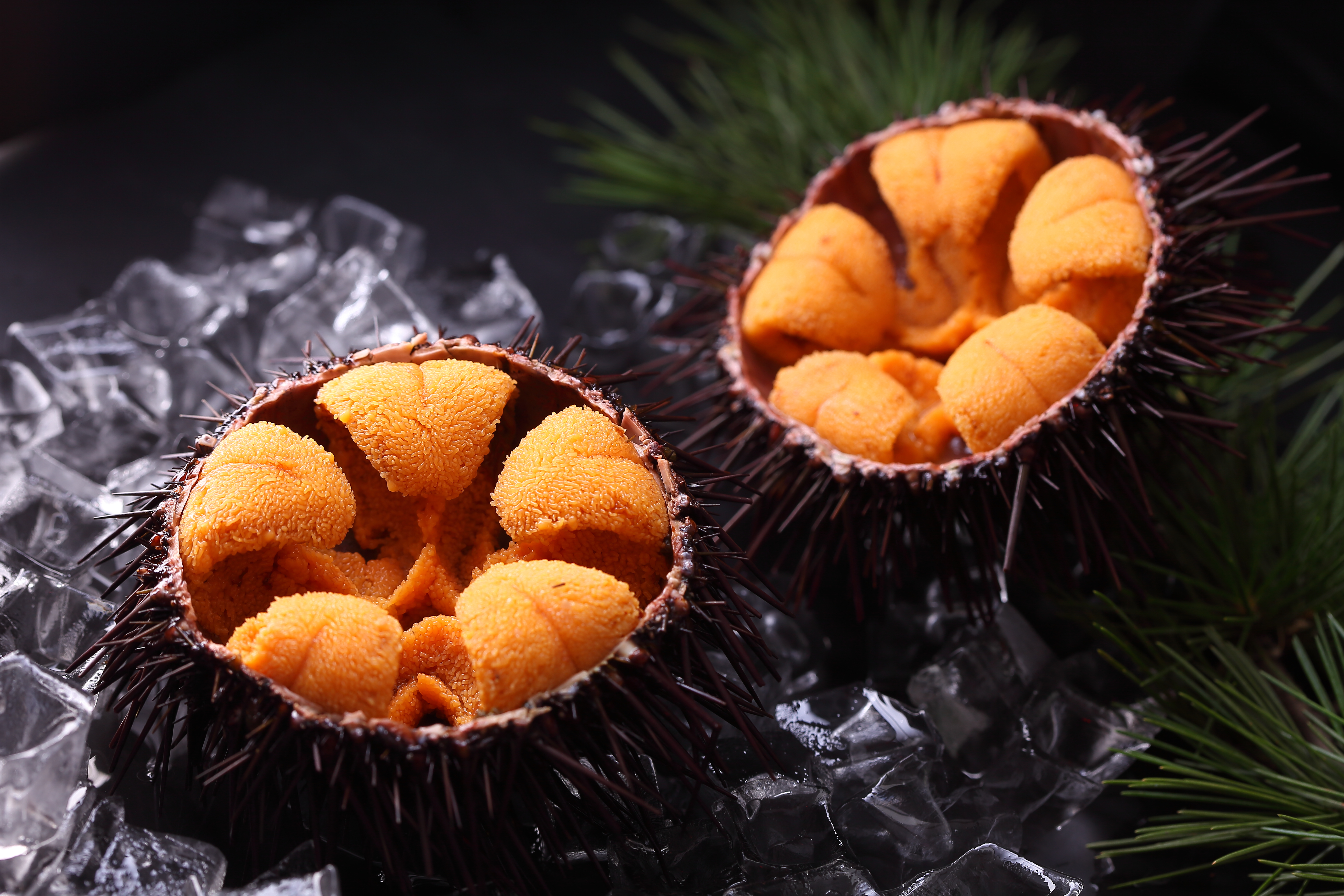 天天渔港,天天渔港生活