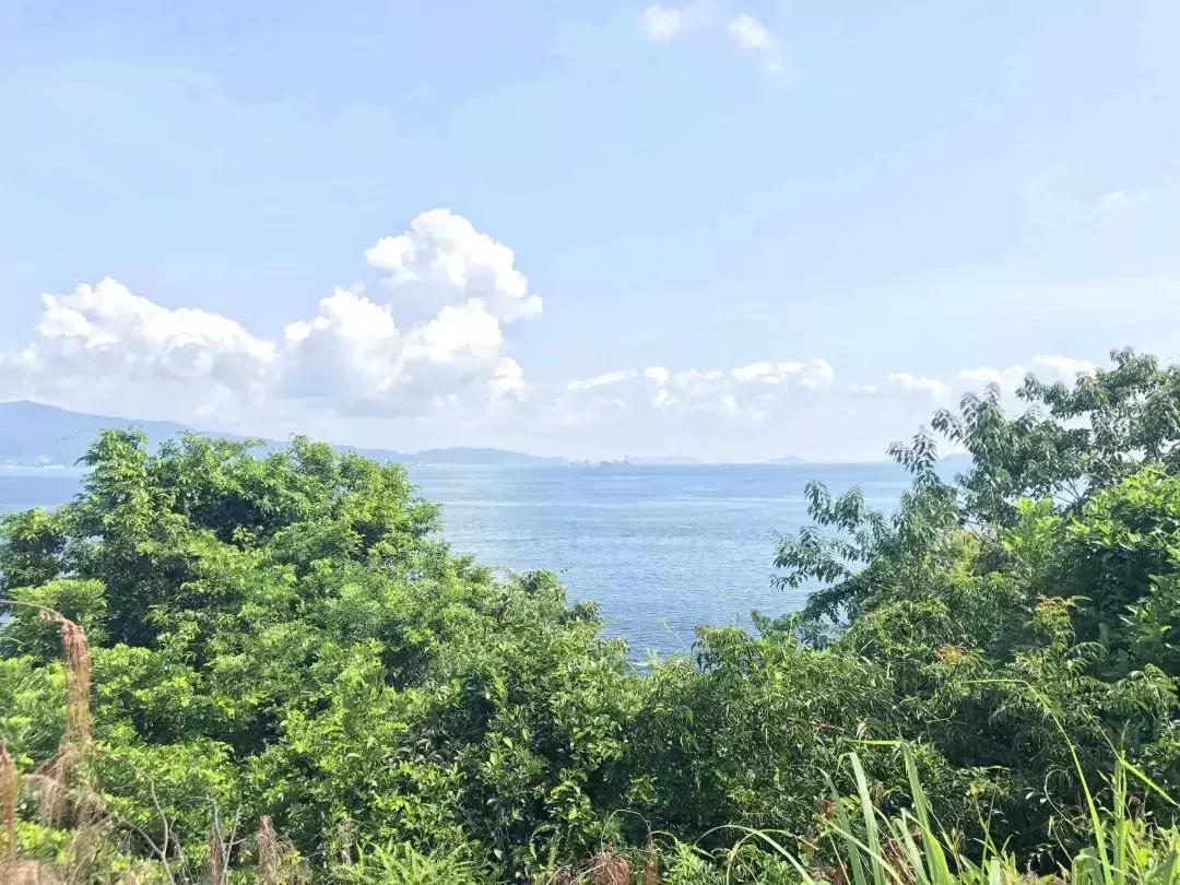 深圳小梅沙海滩在哪里,深圳小梅沙海滩