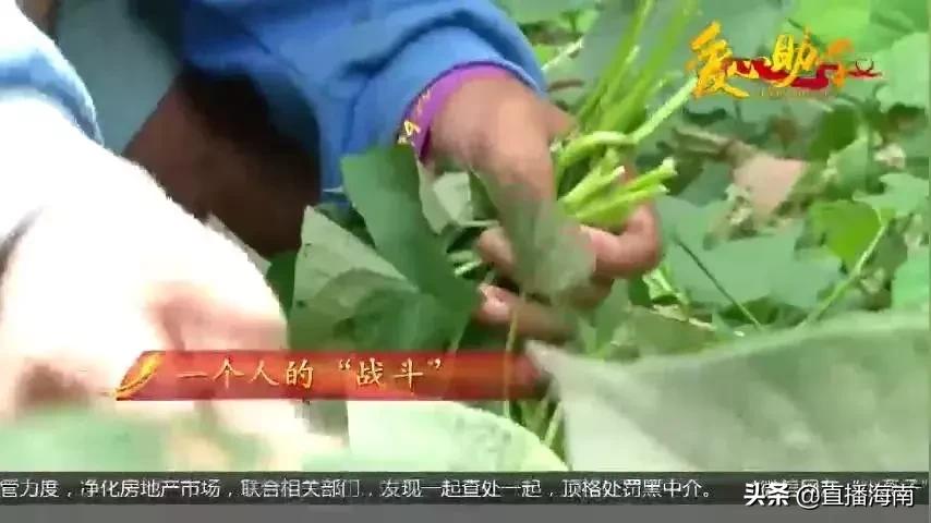 父亲去世母亲改嫁男孩撑起一个家,母亲改嫁儿子打工