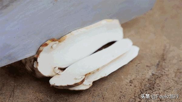 挖到了云南人都点赞的“美食线路”！菌子当道，夏季去度假正好