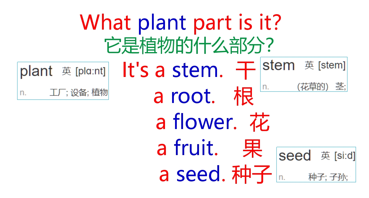 口语卡片12张！英语学习必备！值得收藏
