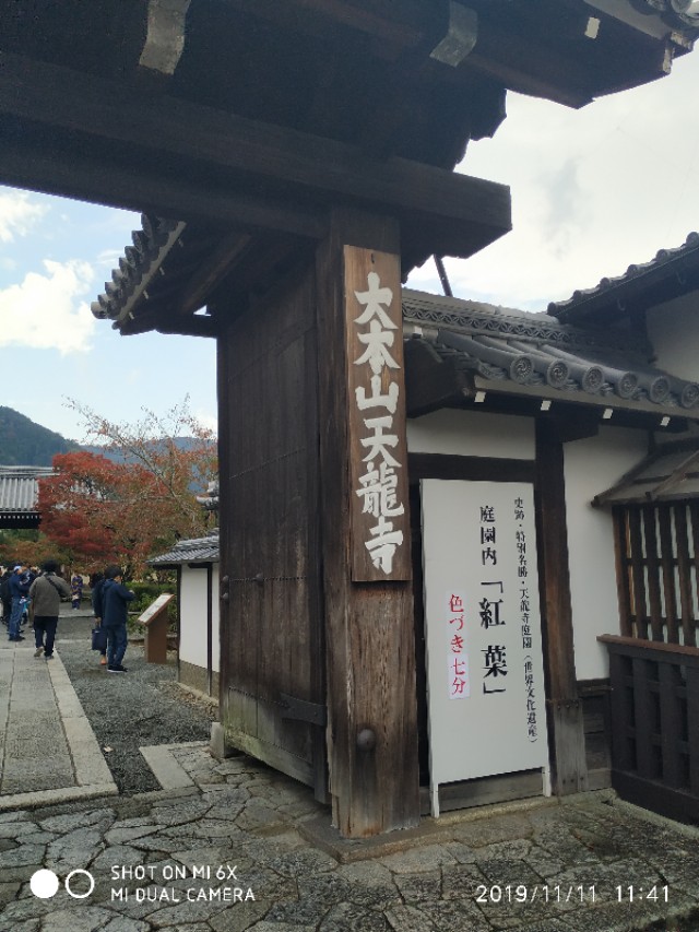 3月底日本关西8日游攻略,日本关西旅游攻略七日游