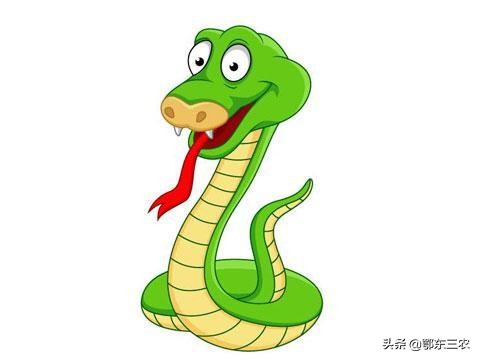 农村老人说,打蛇要打七寸,要么就打死,要么就不要打了