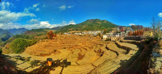 杭州免费的旅游景点攻略,杭州旅游攻略必去免费景点大全