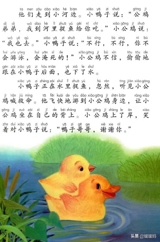 一年级小公鸡和小鸭子仿写句子,一年级小公鸡和小鸭子的看图写话