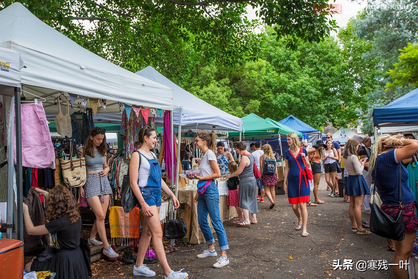逛国外跳蚤市场,澳大利亚悉尼消费水平