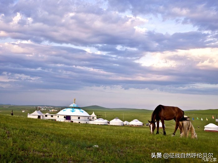 我来到你的城市走过你熟悉的街,我来到你的城市走过你走的路