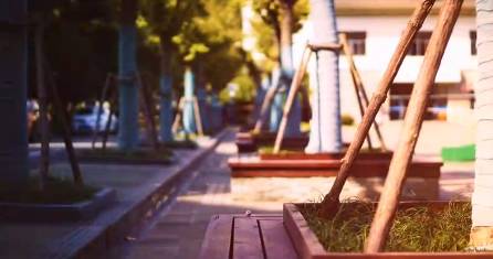 浦东建平中学排名,建平中学张江校区排名