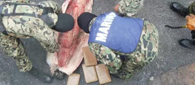 大鱼油胶囊的功效与作用,吃大鱼油胶囊有什么好处