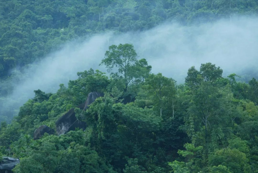 海南的优美环境,海南的环境美吗