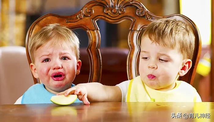 孩子打人抢东西是怎么回事,孩子抢东西不给就哭