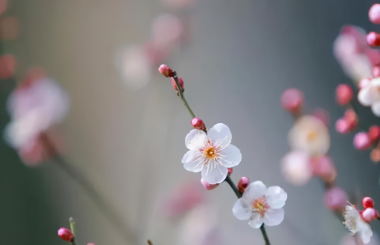 趣味国学小知识,中国人必知的100个国学知识