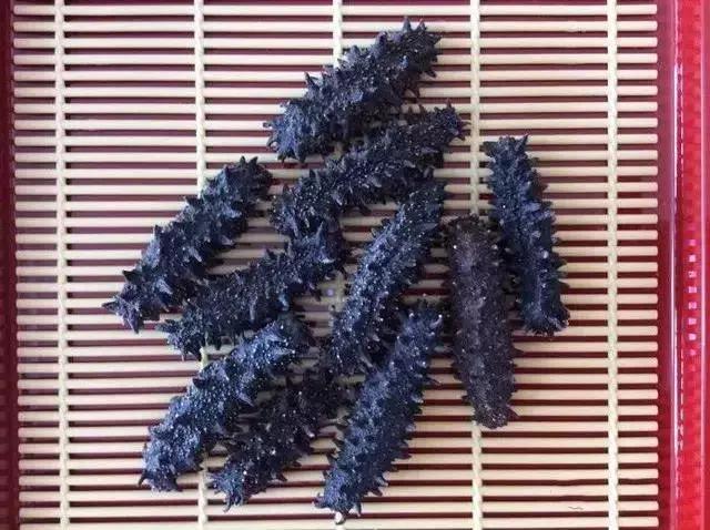 海参的高级介绍,海参营养丰富可你真的了解海参吗