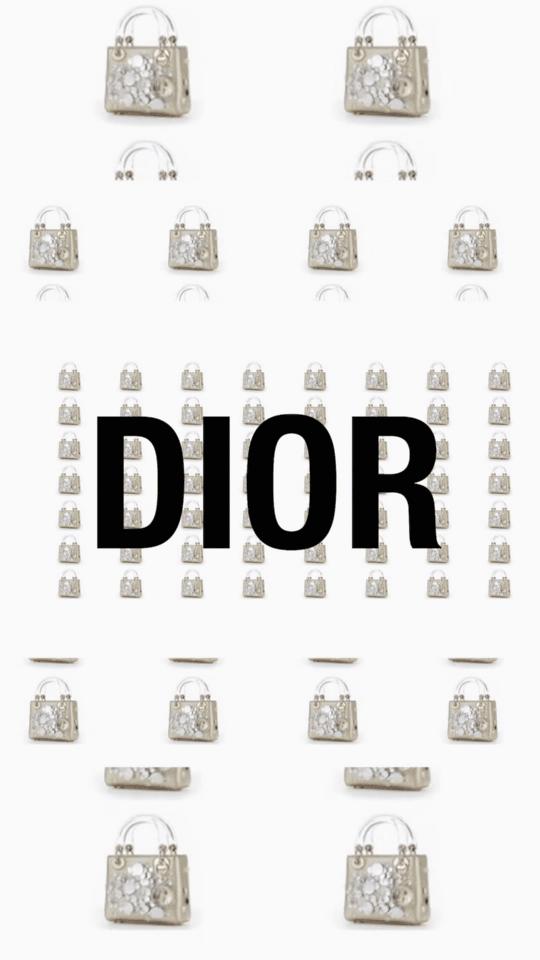 dior艺术家限量合作系列 (dior新款的特别定制)