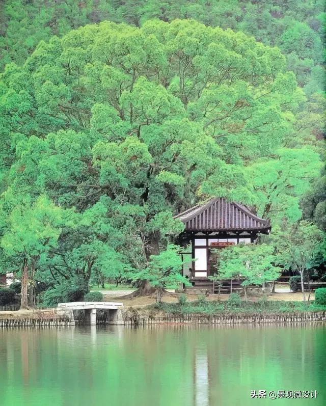 日本最有名枯山水庭院,日本枯山水效果图