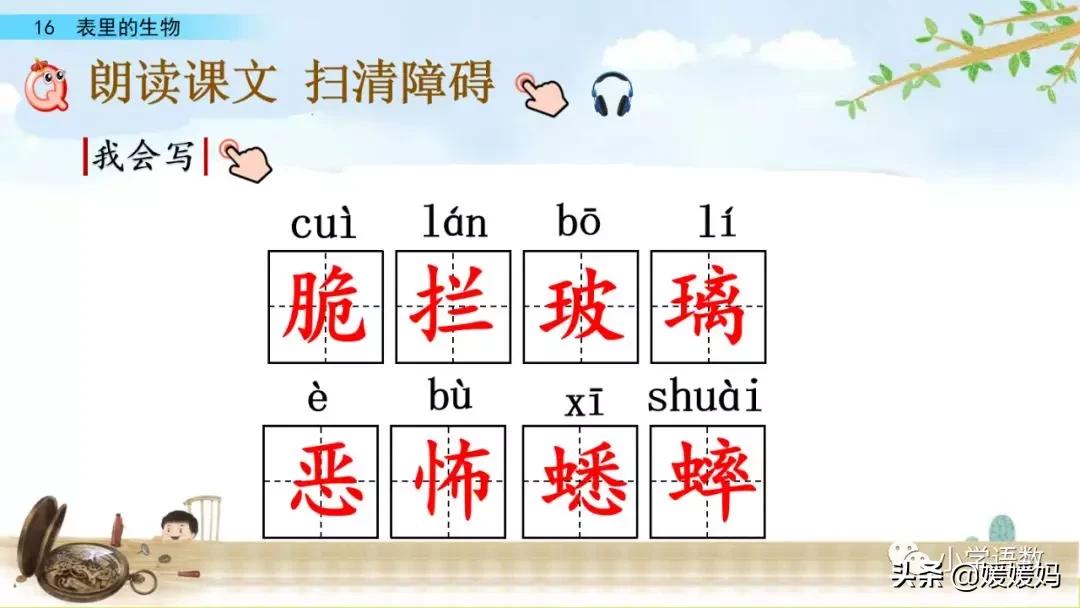 六年级下册语文表里的生物朗诵,六年级下册表里的生物小练笔400字